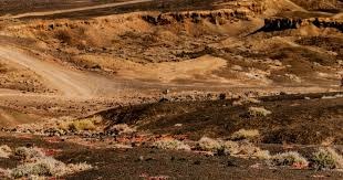 CES 2026 NVIDIA不出新显卡！RTX 6090缺席发表会